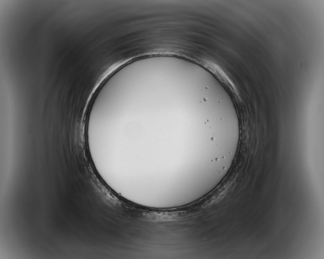 X0000086310900200704202000
