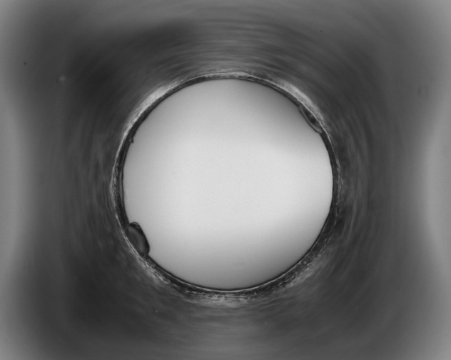 X0000086310901200704202000