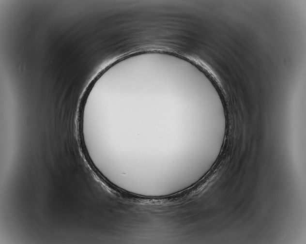 X0000086310902200704202000
