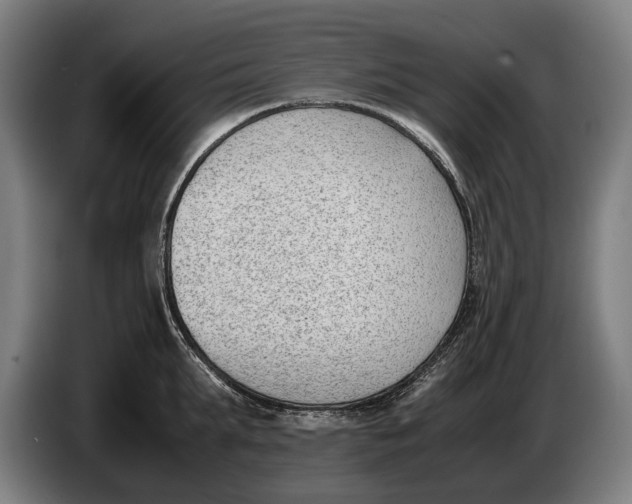 X0000086310903200704202000