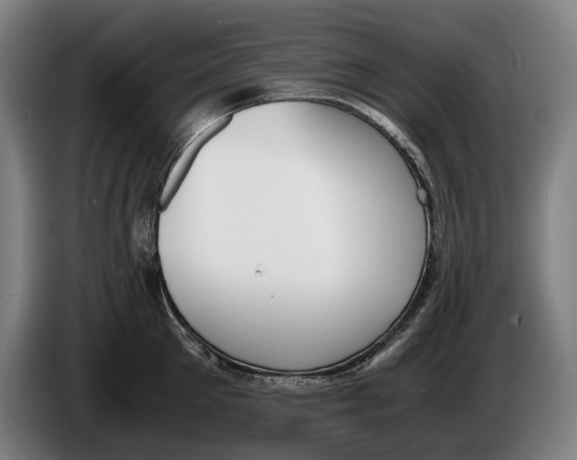 X0000086310905200704202000