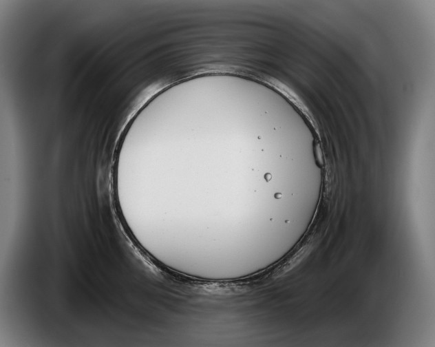 X0000086310906200704202000