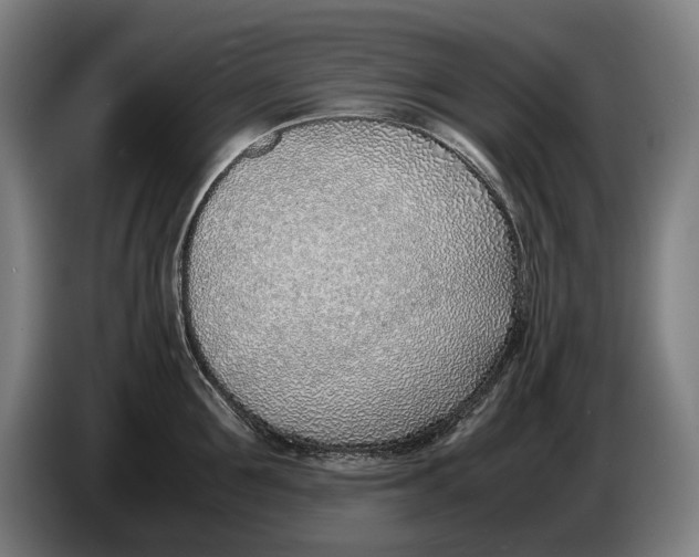 X0000086310907200704202000