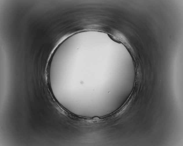 X0000086310908200704202000