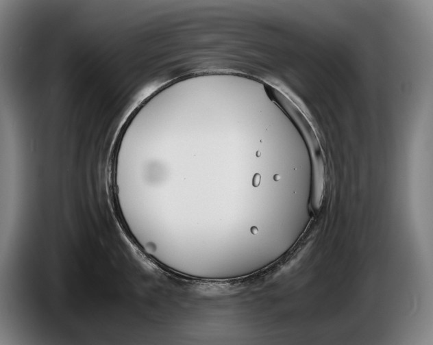 X0000086310909200704202000
