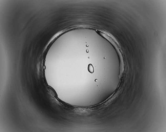 X0000086310910200704202000