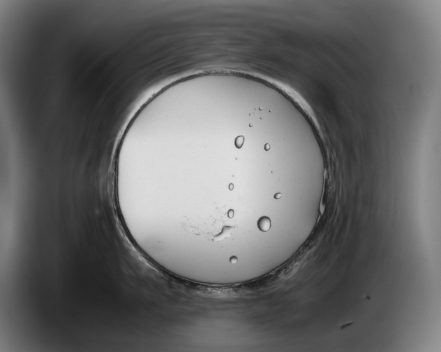 X0000086310911200704202000
