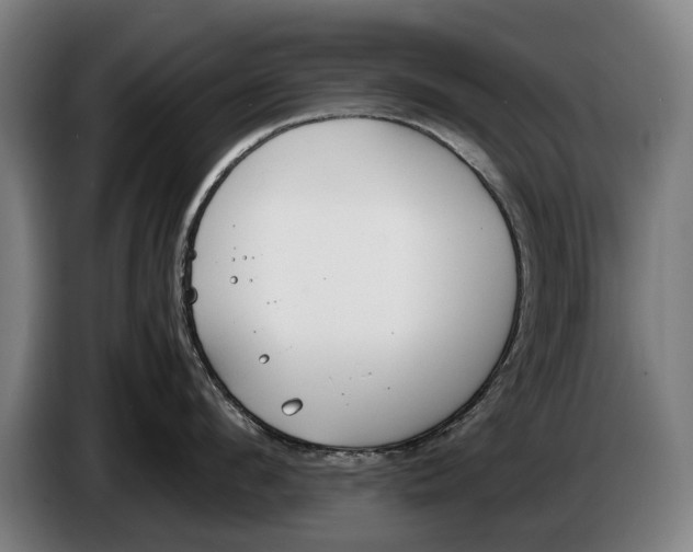 X0000086310912200704202000