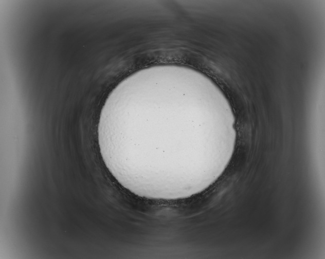 X0000086310913200704201959