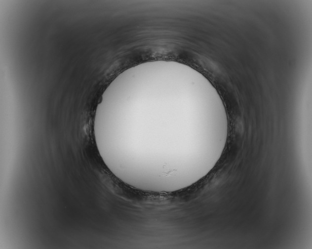 X0000086310914200704201959