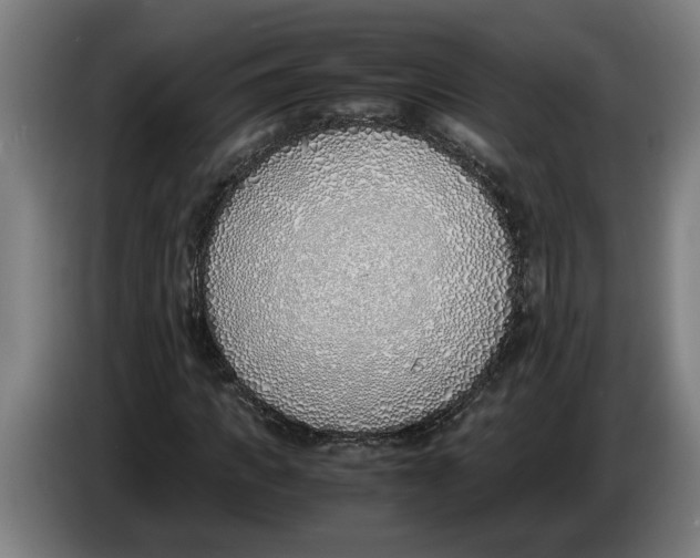 X0000086310917200704201959