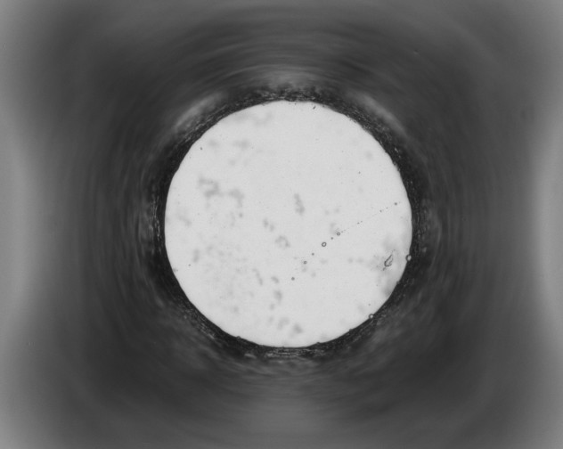 X0000086310918200704201959