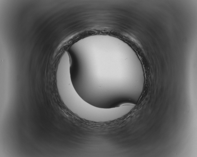 X0000086310920200704201959
