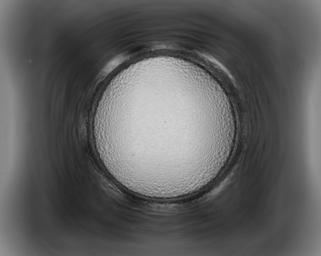 X0000086310921200704201959