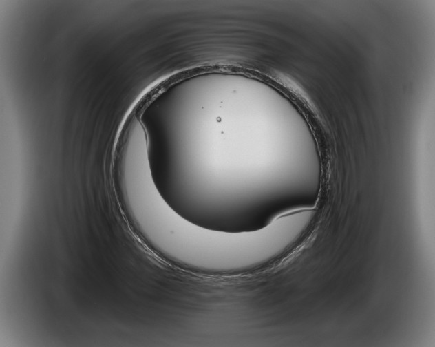 X0000086310924200704201959