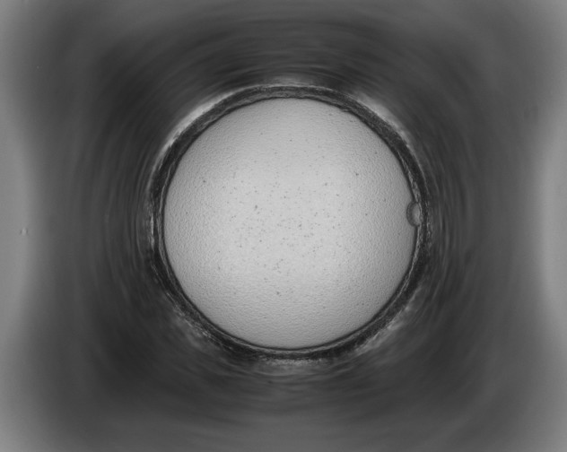 X0000086310925200704201959