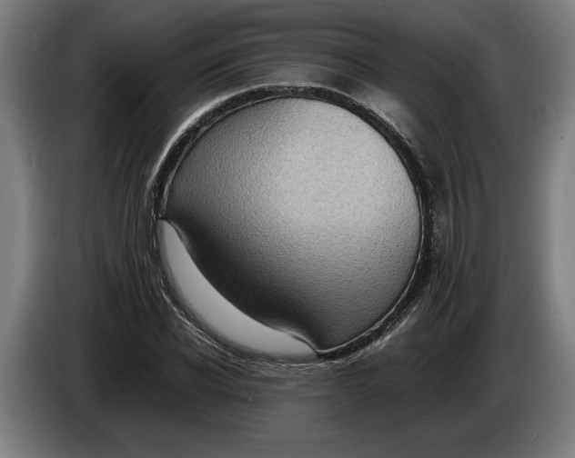 X0000086310926200704201959