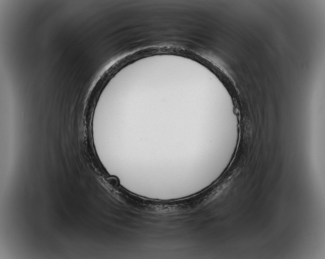 X0000086310927200704201959