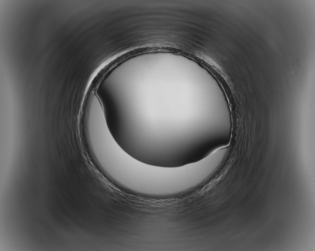X0000086310928200704201959