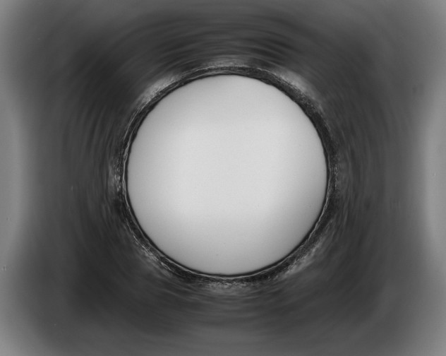 X0000086310929200704201959