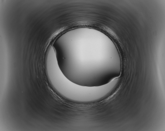 X0000086310930200704201959