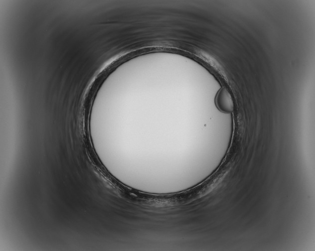 X0000086310931200704201959