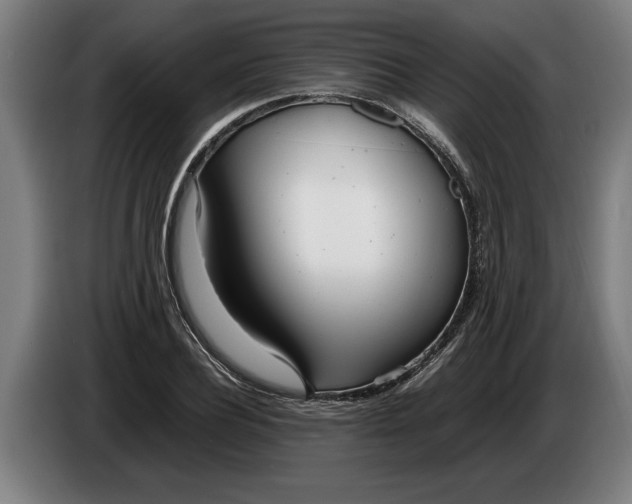 X0000086310932200704201959