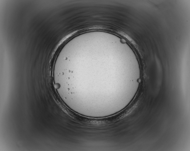 X0000086310933200704201959