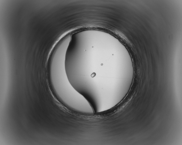 X0000086310934200704201959