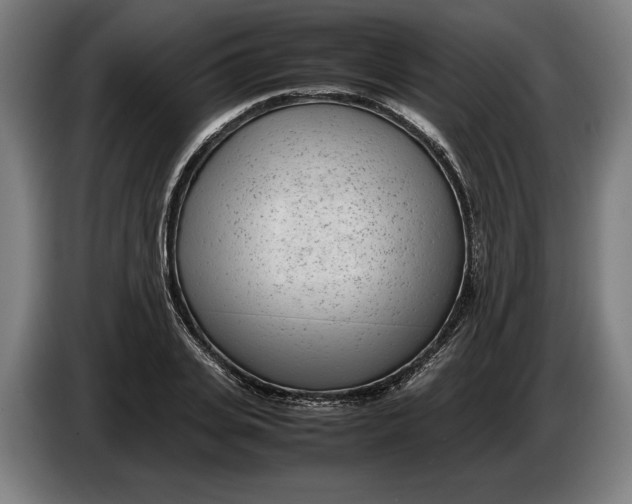X0000086310935200704201959