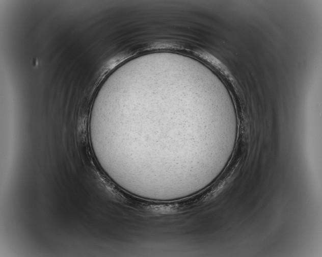 X0000086310937200704201959