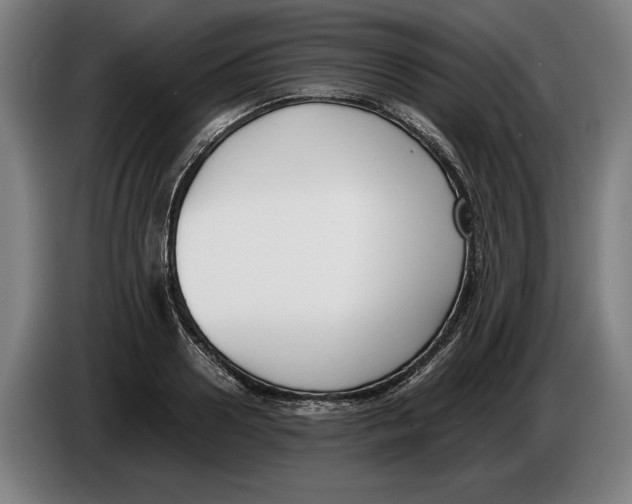 X0000086310938200704201959