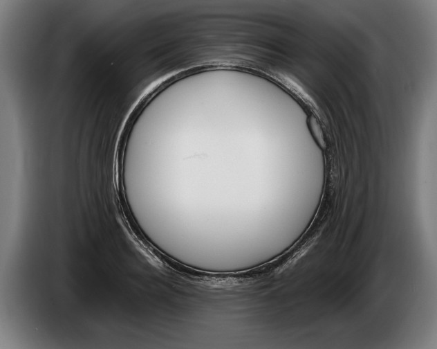 X0000086310940200704201959