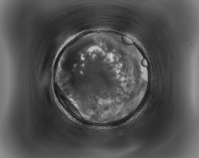X0000086310941200704201959