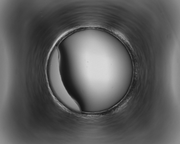 X0000086310942200704201959