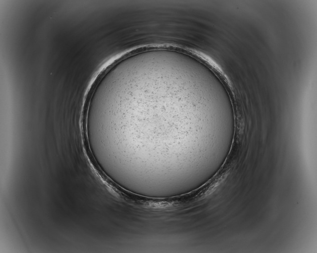 X0000086310943200704201959