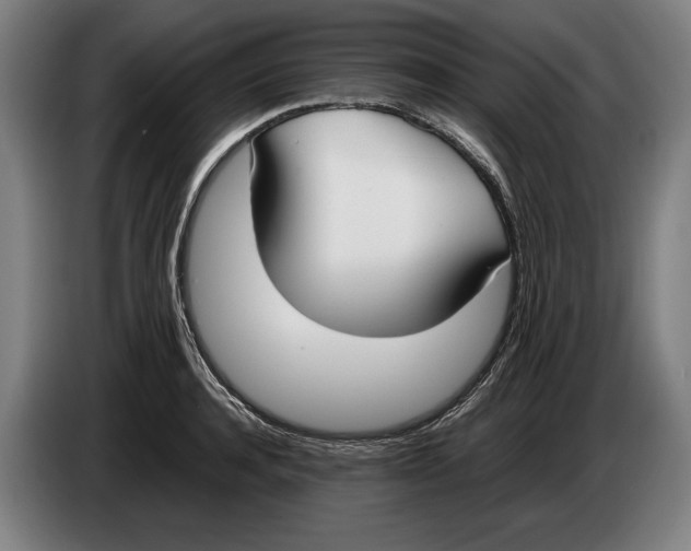 X0000086310944200704201959