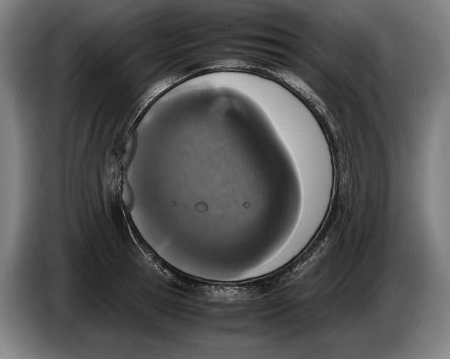 X0000086310945200704201959