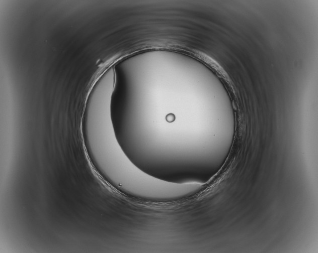 X0000086310946200704202000
