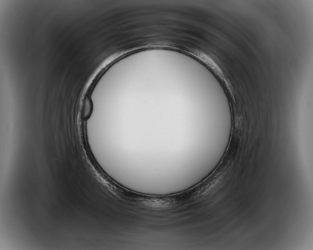 X0000086310947200704202000