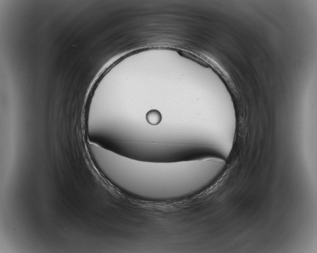 X0000086310948200704202000