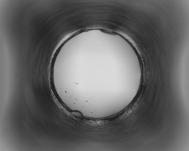 X0000086310949200704202000