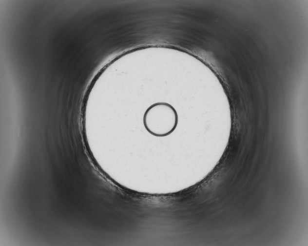 X0000086310950200704202000