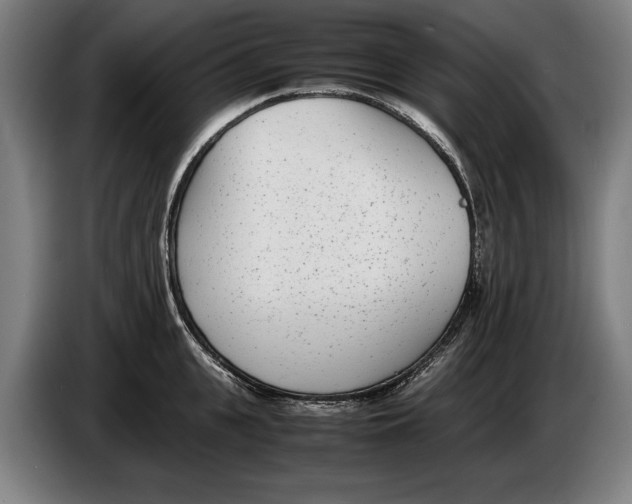 X0000086310951200704202000