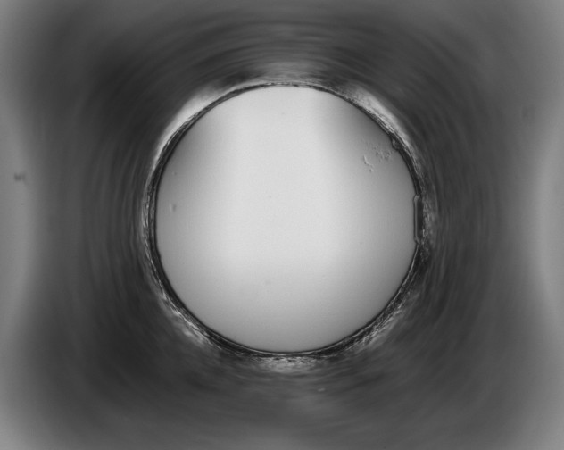 X0000086310952200704202000