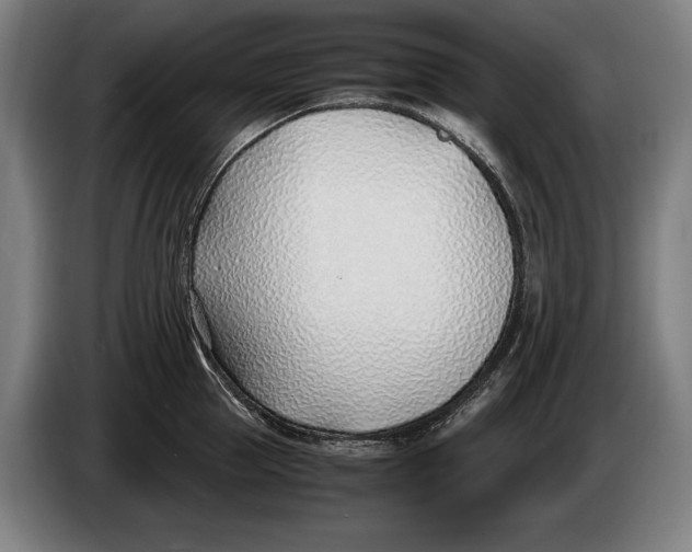 X0000086310953200704202000