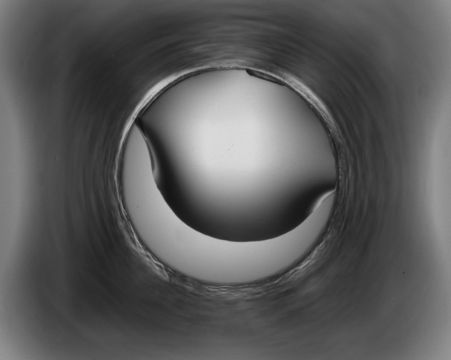 X0000086310956200704202000