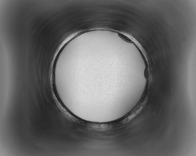 X0000086310957200704202000