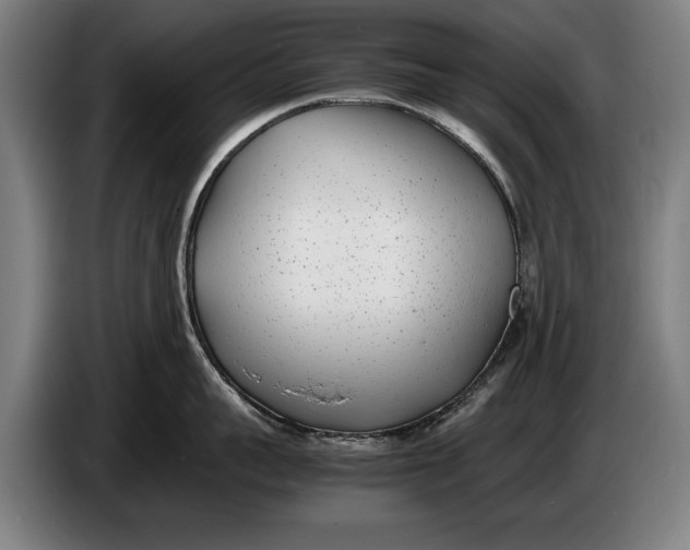 X0000086310959200704202000