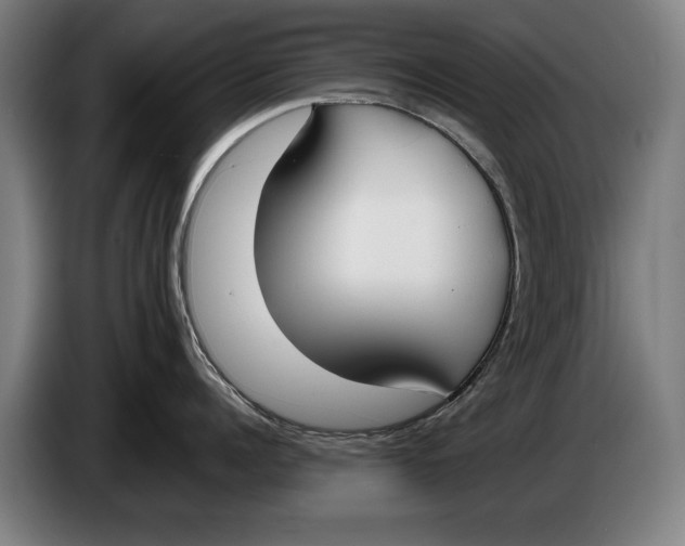 X0000086310960200704202000